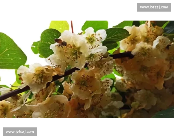 聚焦电竞赛事平台合作共建产业生态新格局与多方协同发展战略路径